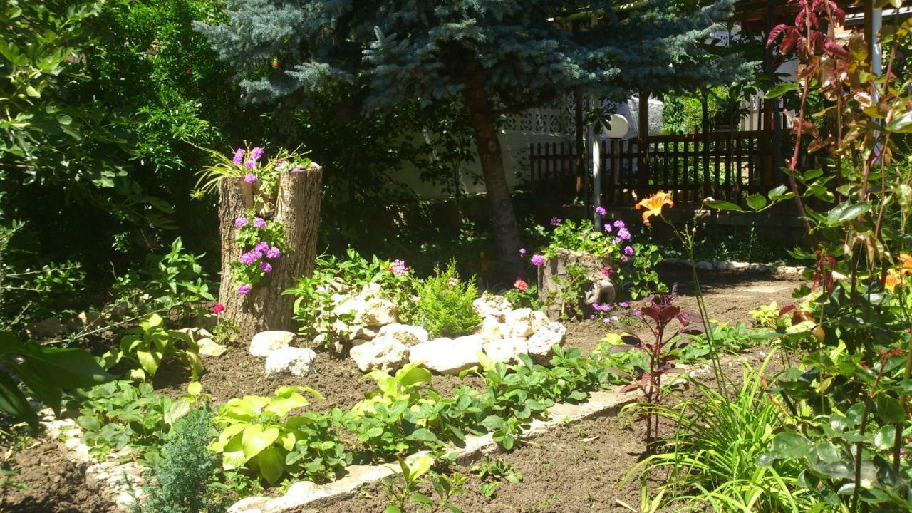 Guest House Byki Светий Влас Екстер'єр фото